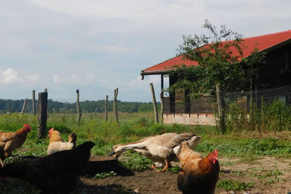 Ecotouristfarm Na Łęgach