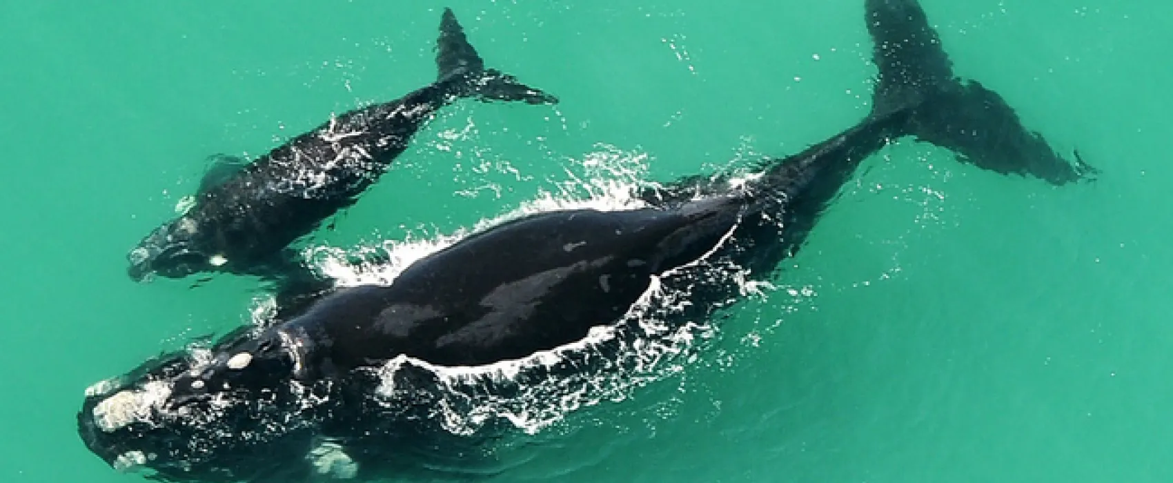 Opstal Camp Rondawels