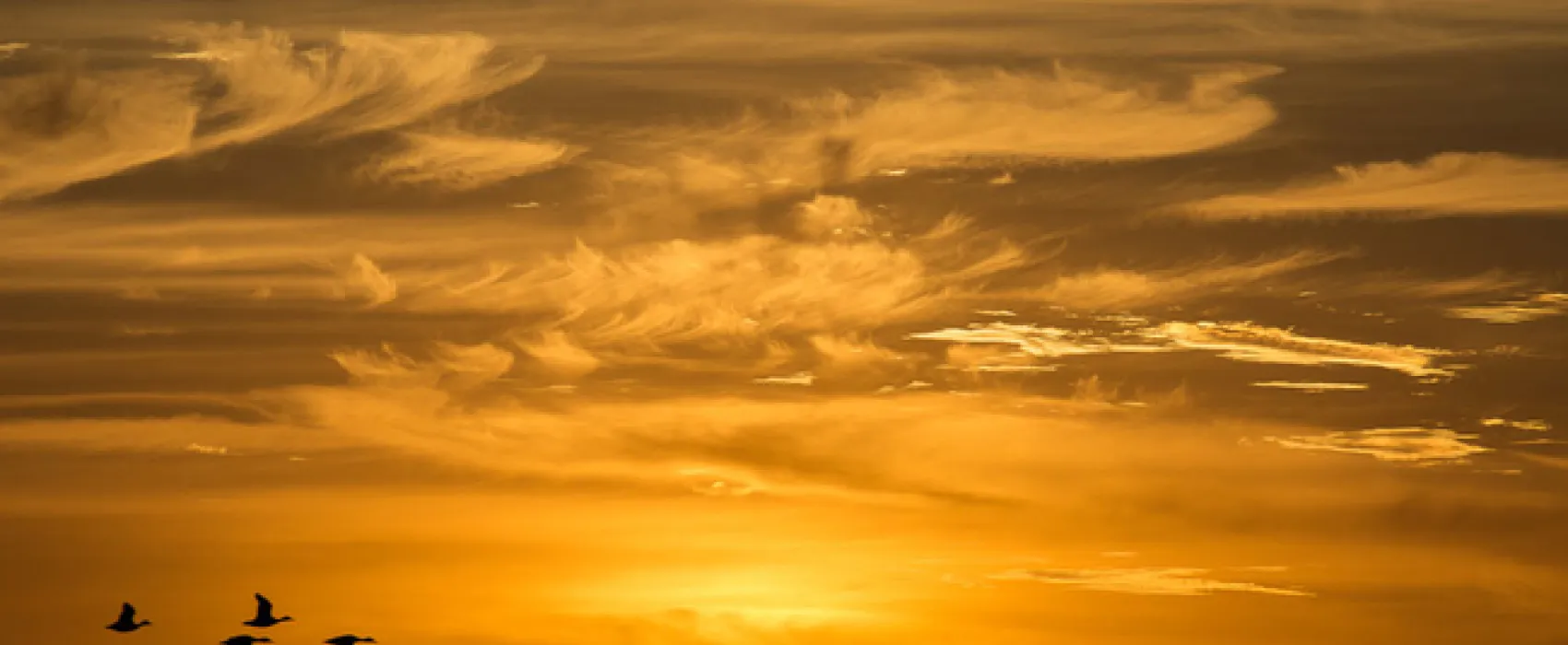 Opstal Camp Rondawels