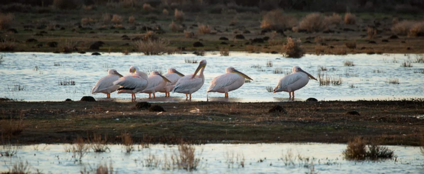 Opstal Camp Rondawels