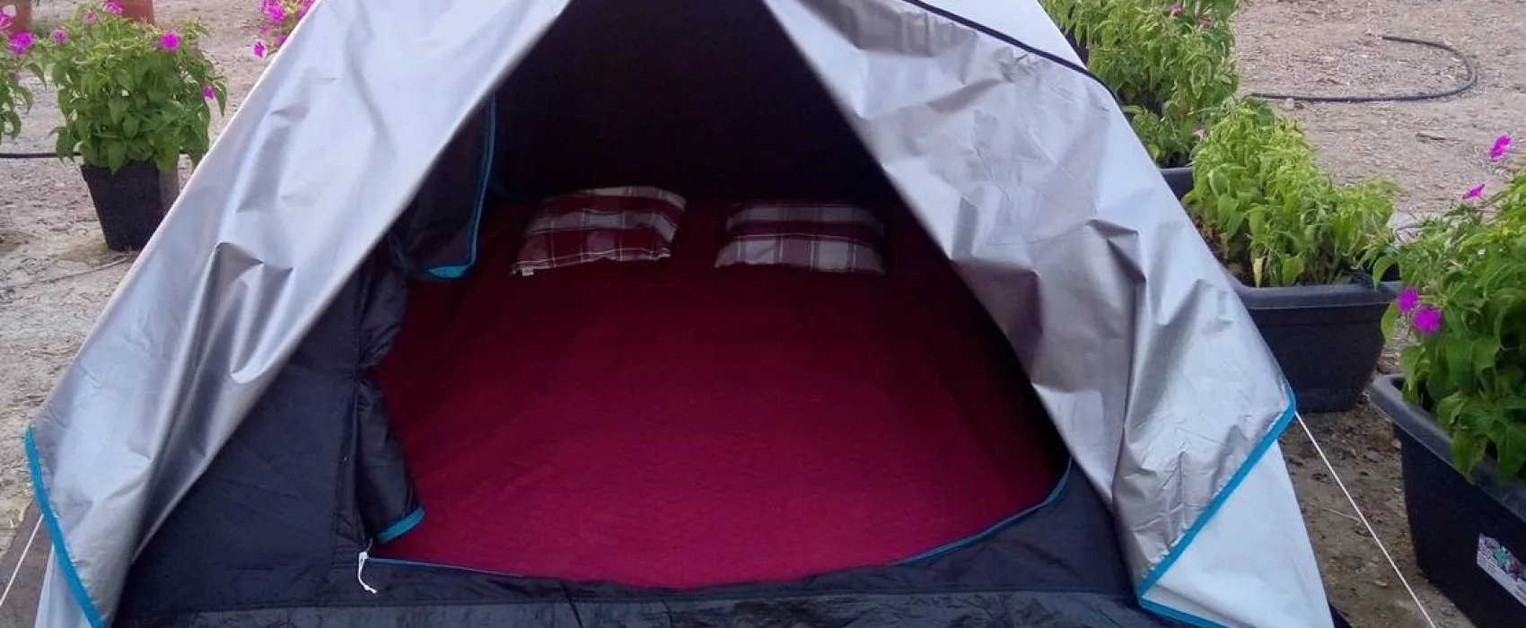 Pachamama Ecocamping