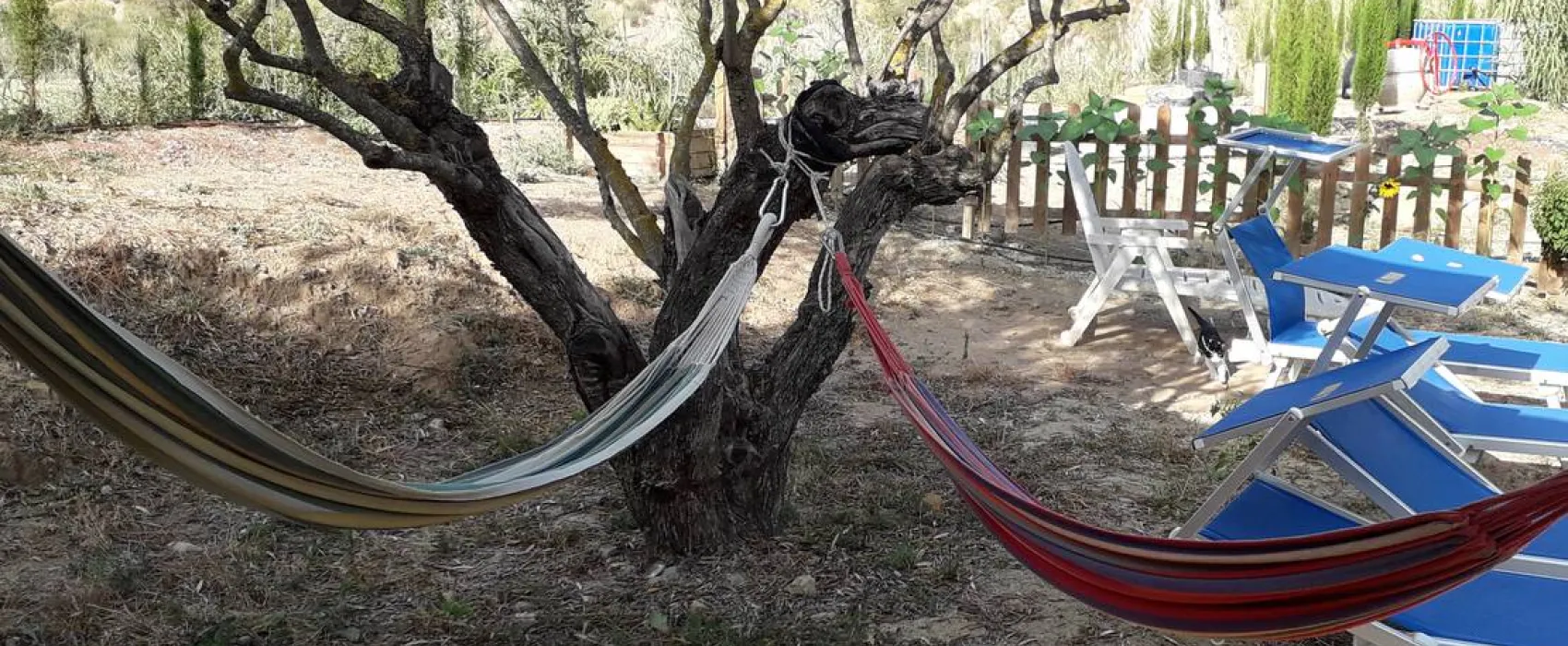 Pachamama Ecocamping