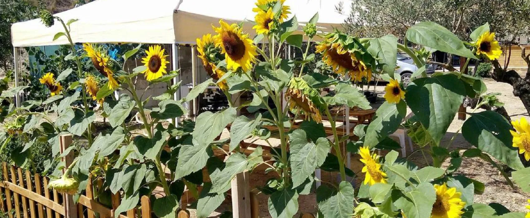 Pachamama Ecocamping