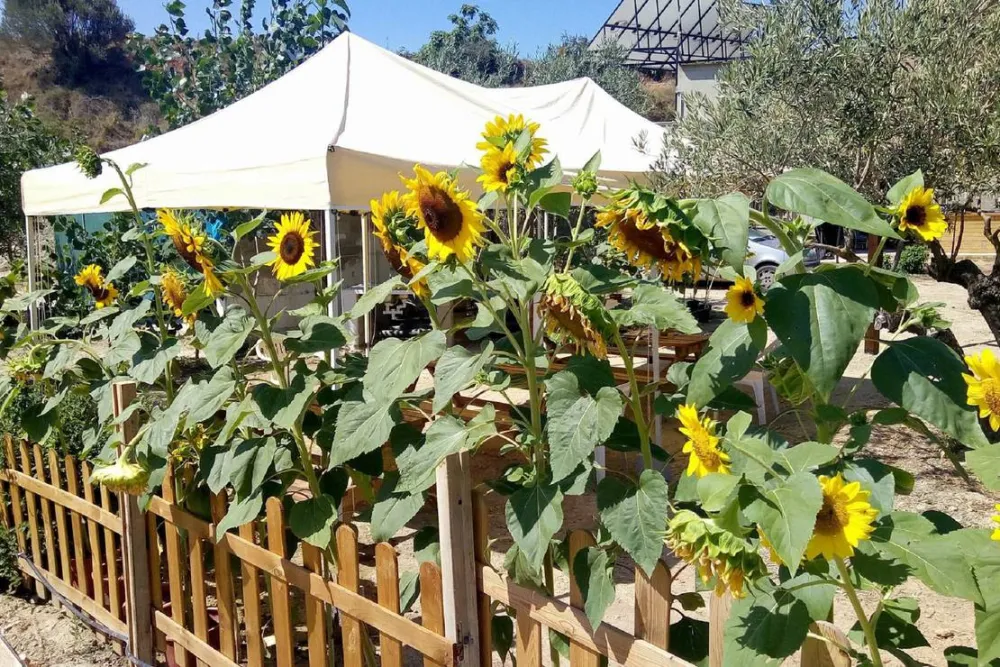 Pachamama Ecocamping