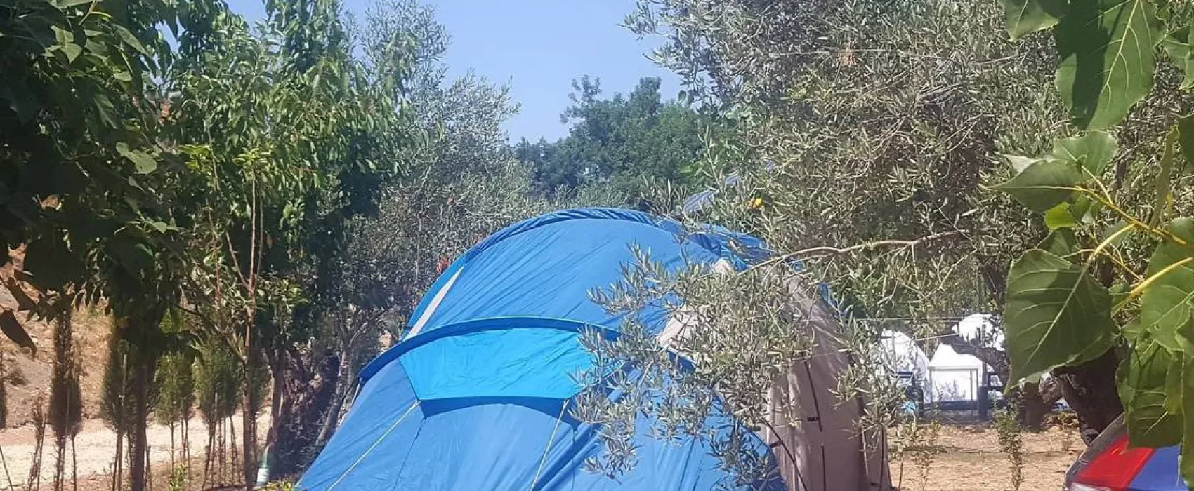 Pachamama Ecocamping