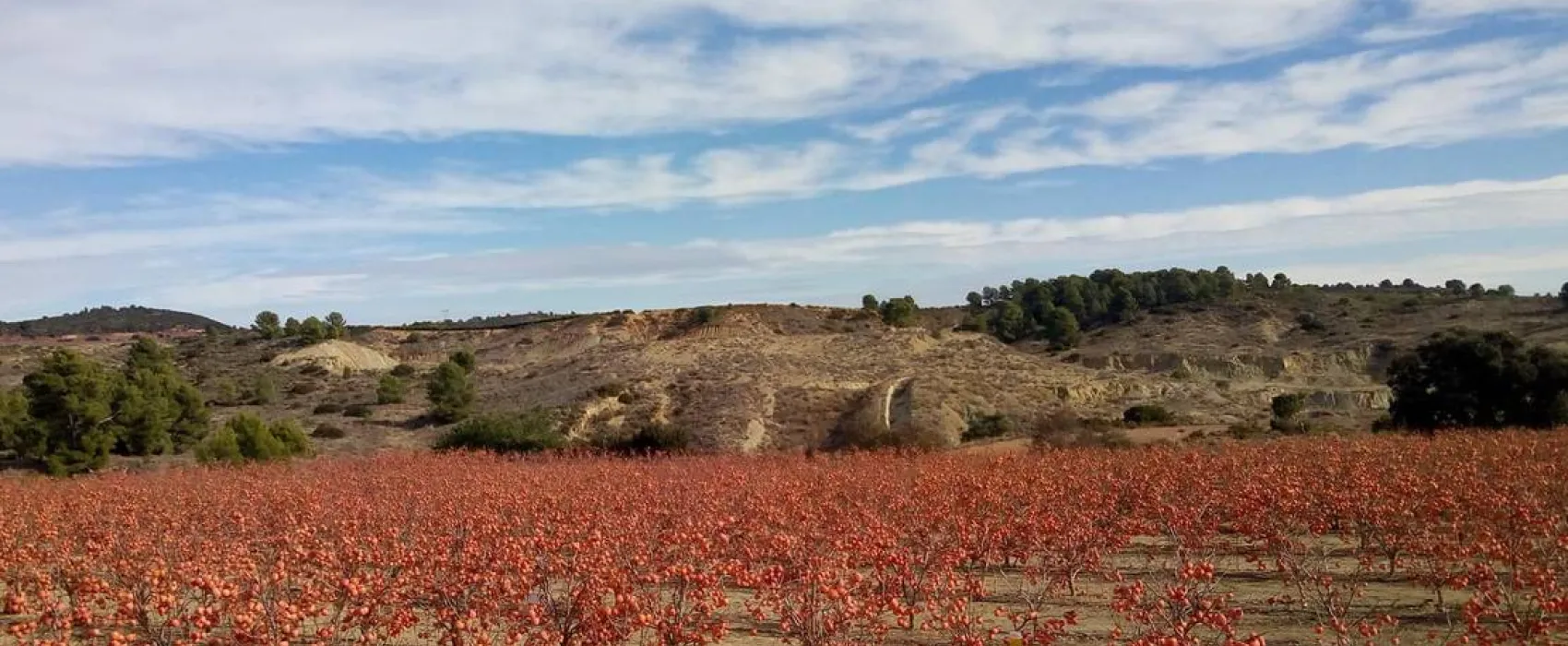 Pachamama Ecocamping