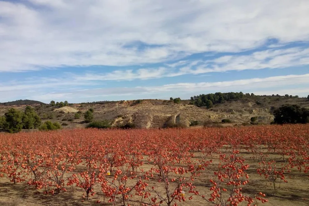 Pachamama Ecocamping