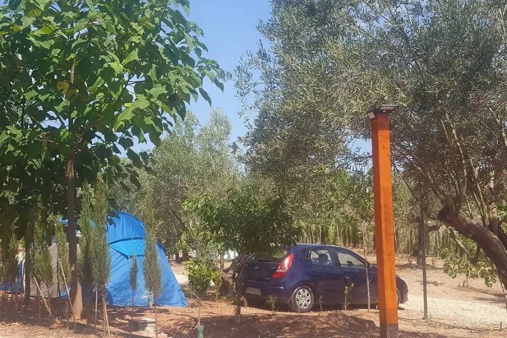 Pachamama Ecocamping