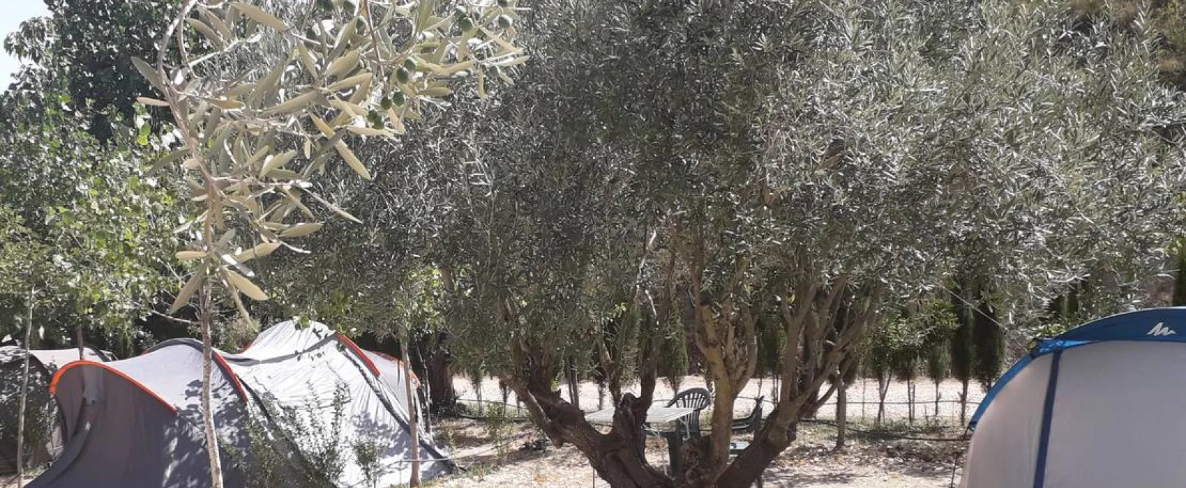 Pachamama Ecocamping