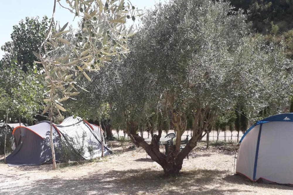 Pachamama Ecocamping