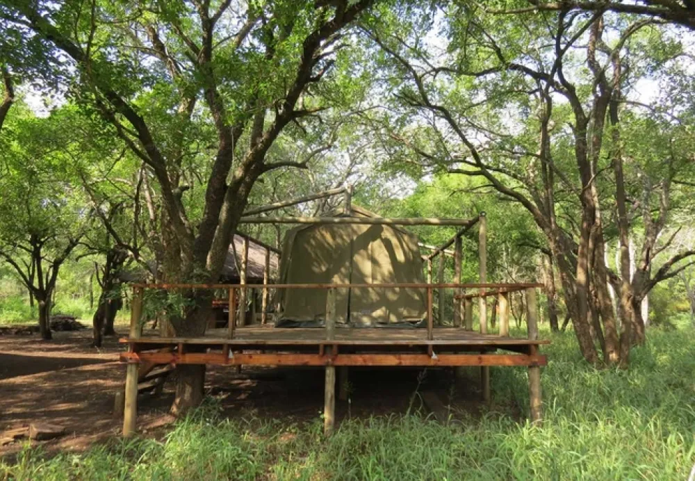 Makongo Bush Camp