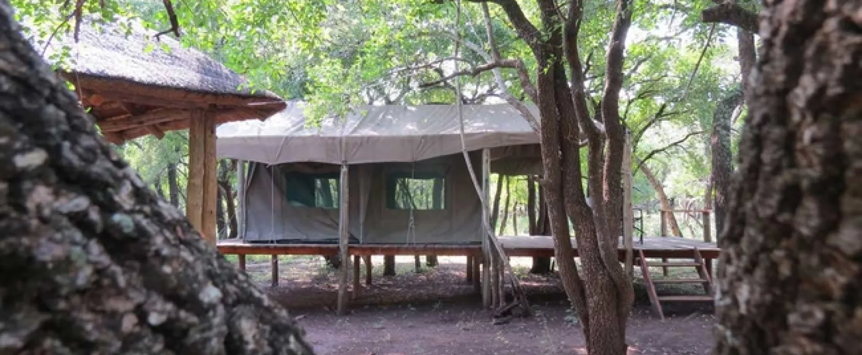 Makongo Bush Camp