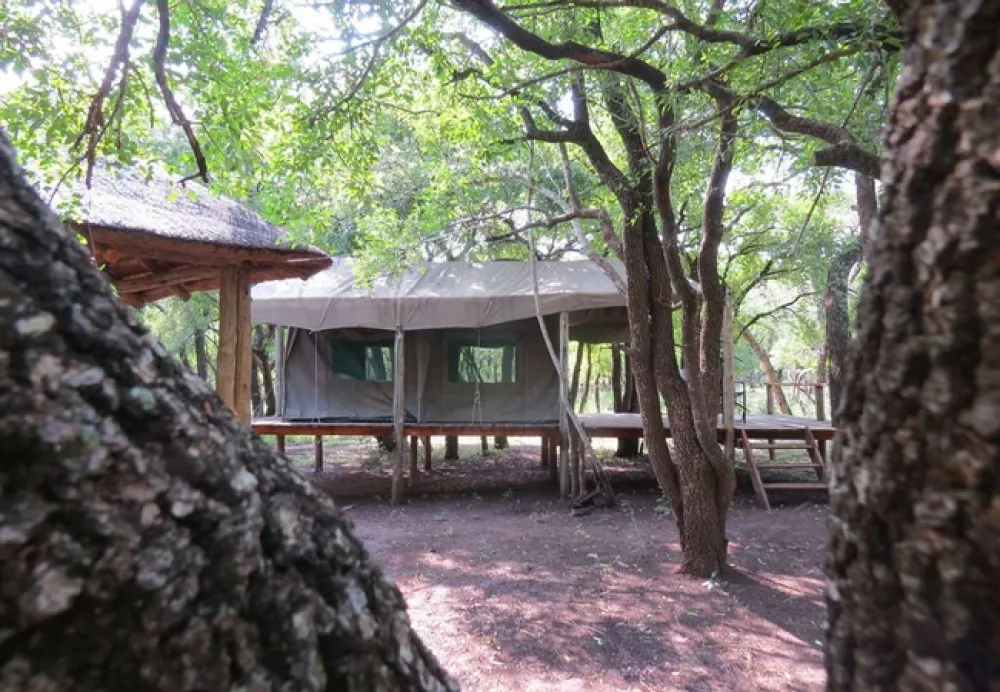 Makongo Bush Camp