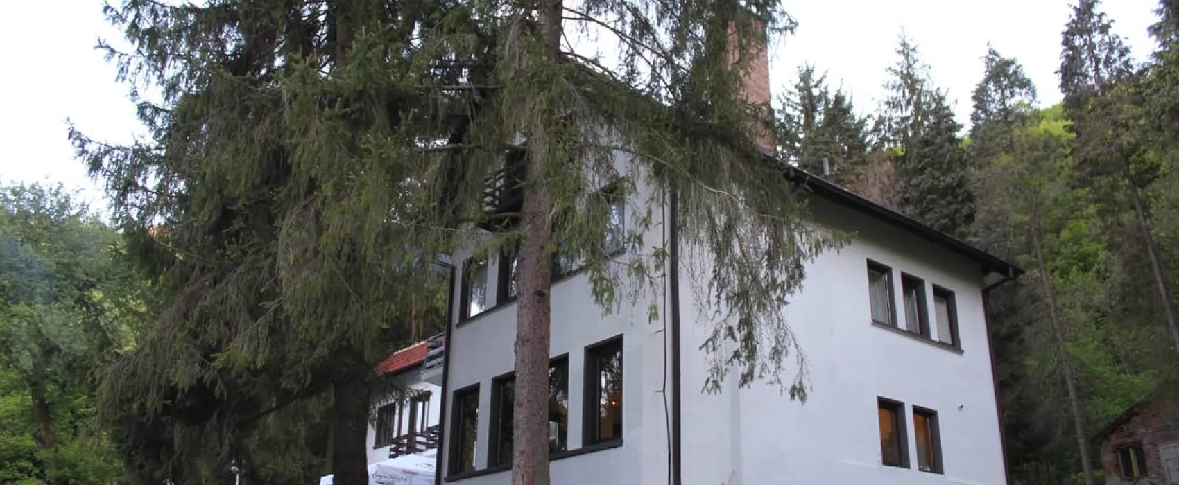 Camping - Starite Borove, Old Pines