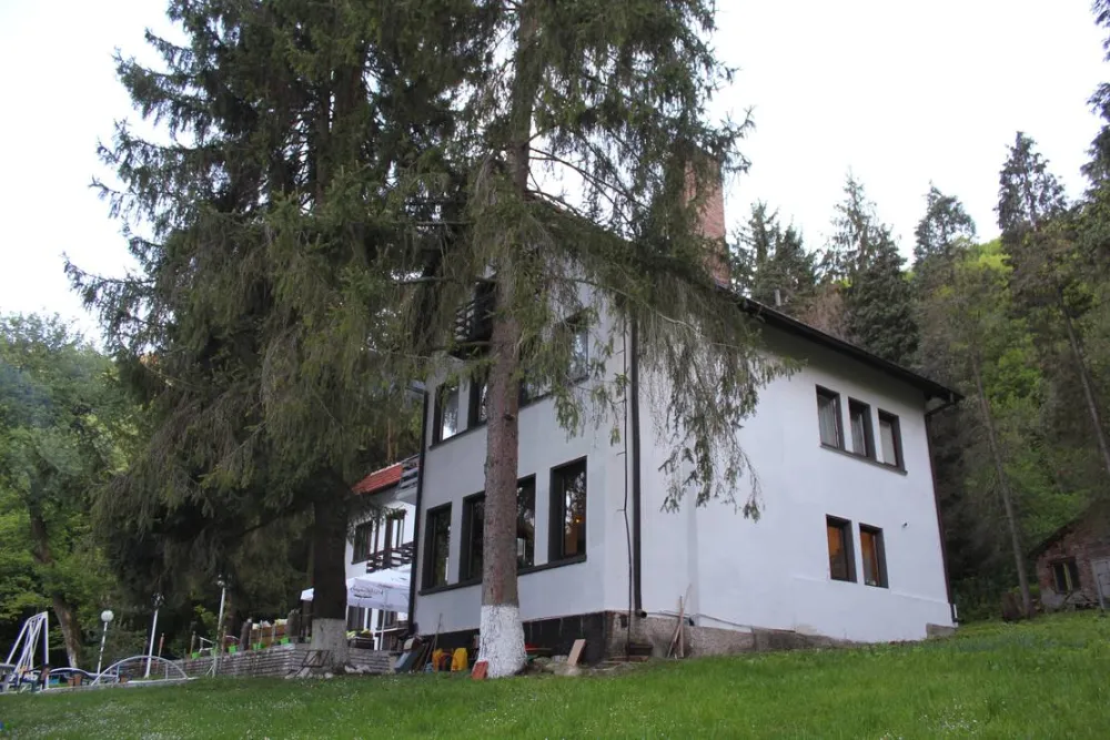 Camping - Starite Borove, Old Pines