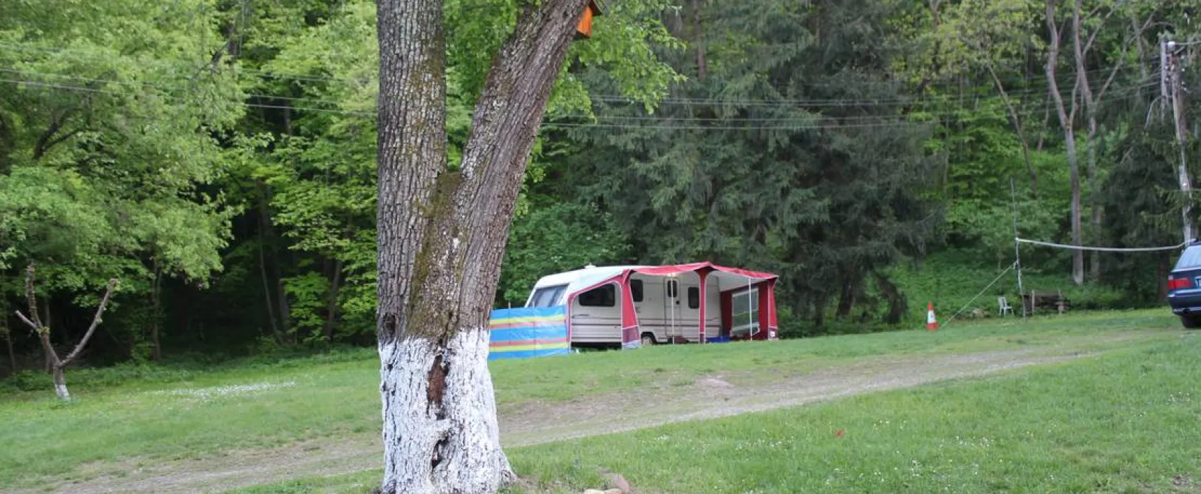 Camping - Starite Borove, Old Pines