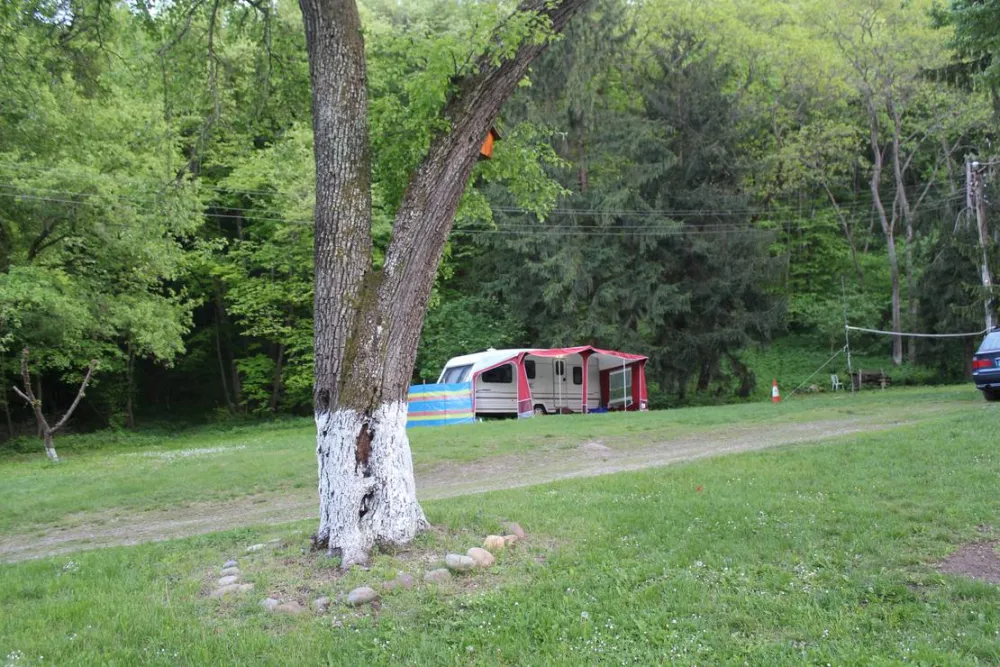 Camping - Starite Borove, Old Pines