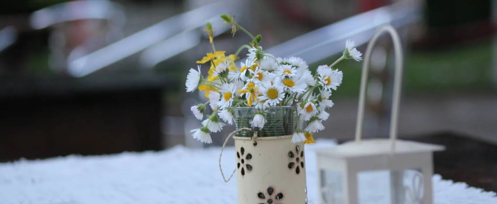 Camping - Starite Borove, Old Pines