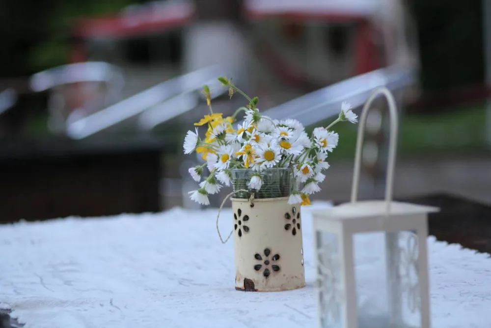 Camping - Starite Borove, Old Pines
