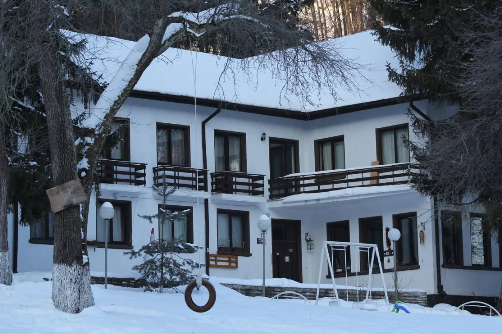 Camping - Starite Borove, Old Pines