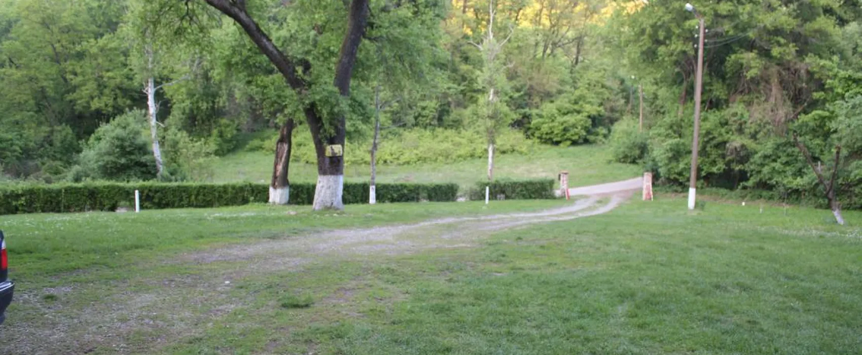 Camping - Starite Borove, Old Pines