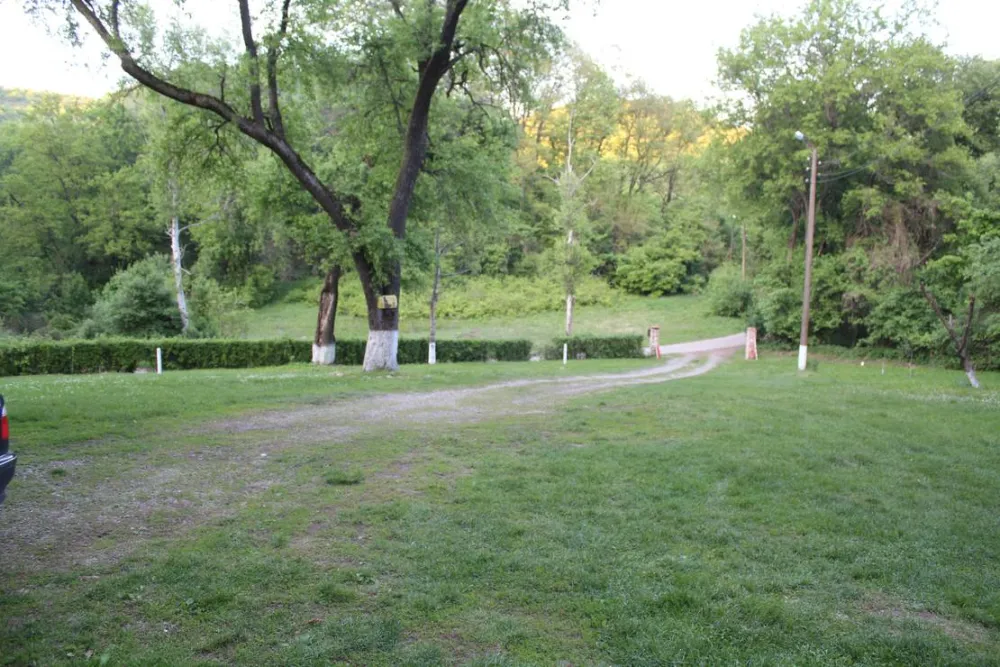 Camping - Starite Borove, Old Pines