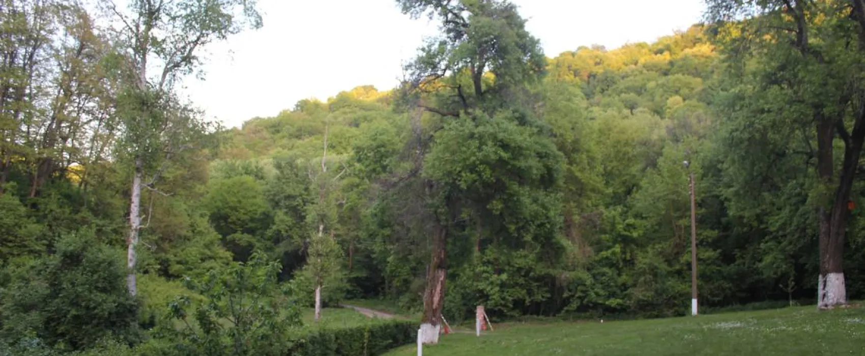Camping - Starite Borove, Old Pines