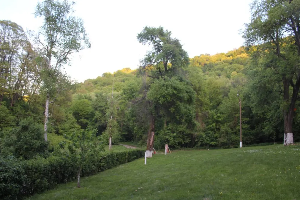 Camping - Starite Borove, Old Pines