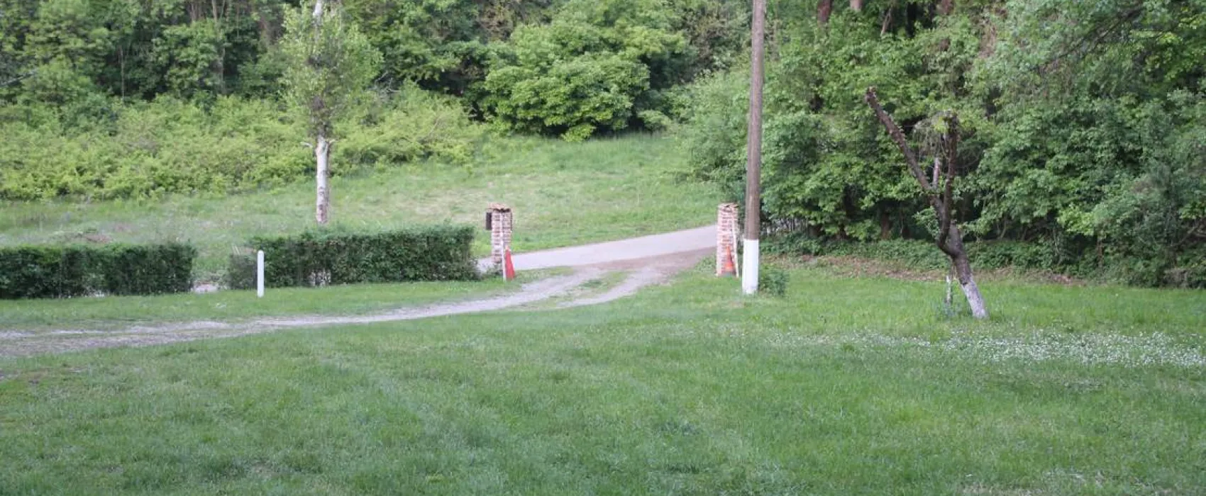 Camping - Starite Borove, Old Pines