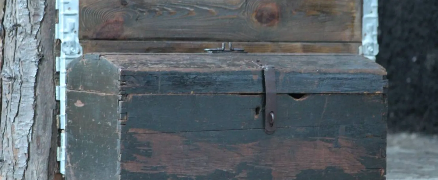 Camping - Starite Borove, Old Pines