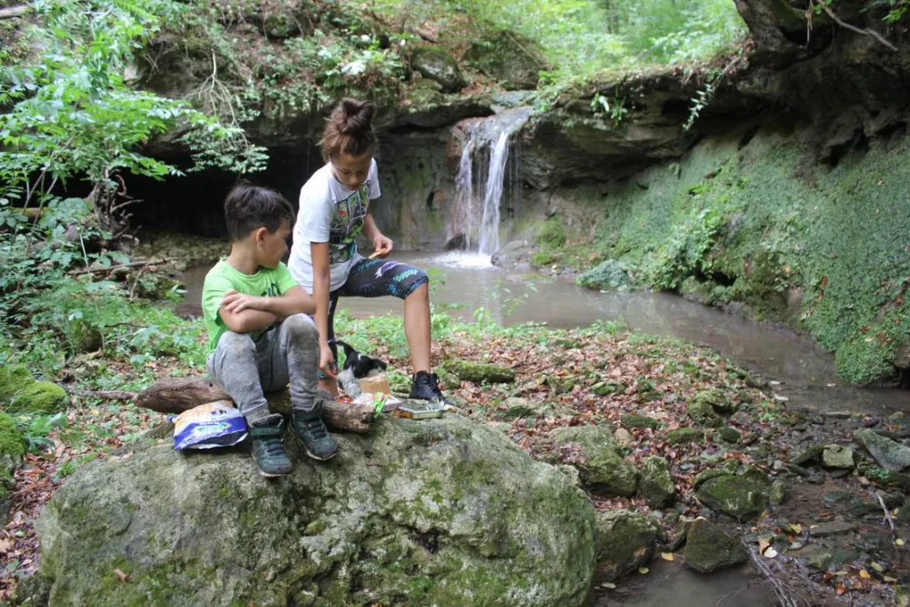 Camping - Starite Borove, Old Pines