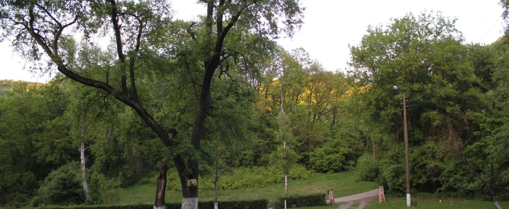 Camping - Starite Borove, Old Pines