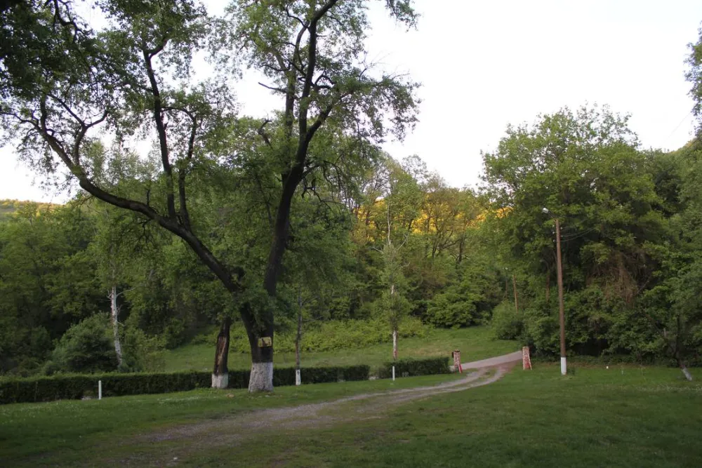 Camping - Starite Borove, Old Pines
