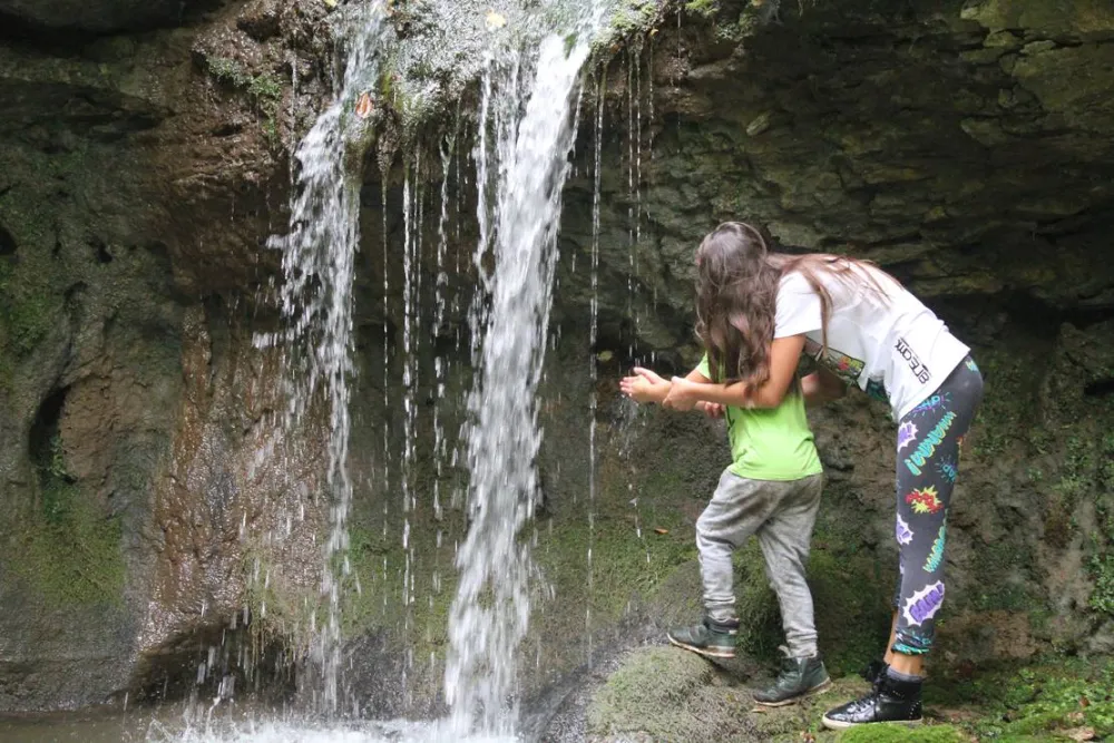 Camping - Starite Borove, Old Pines
