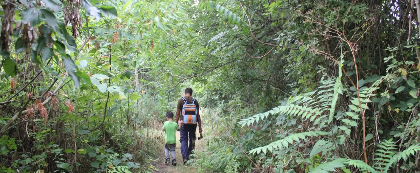 Camping - Starite Borove, Old Pines