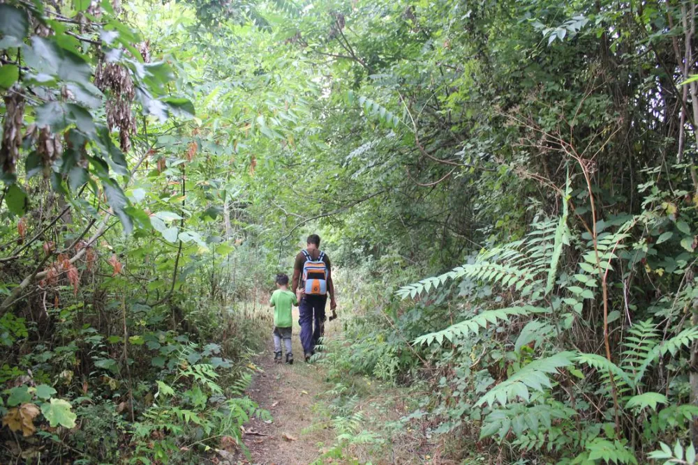 Camping - Starite Borove, Old Pines