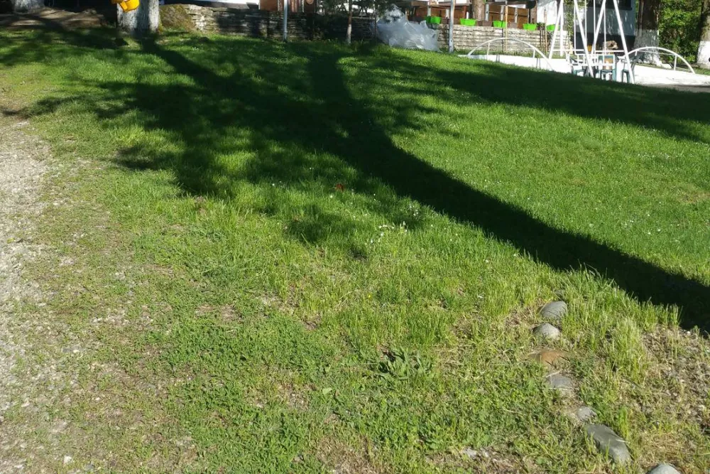 Camping - Starite Borove, Old Pines