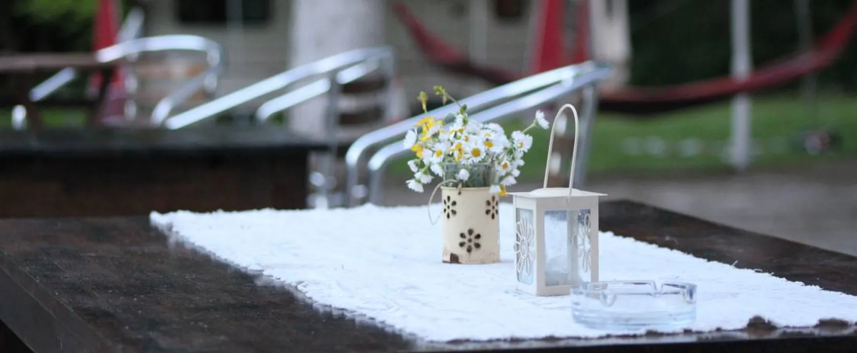 Camping - Starite Borove, Old Pines