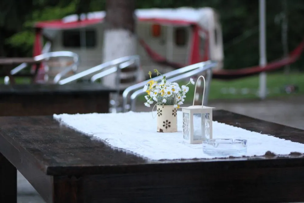 Camping - Starite Borove, Old Pines