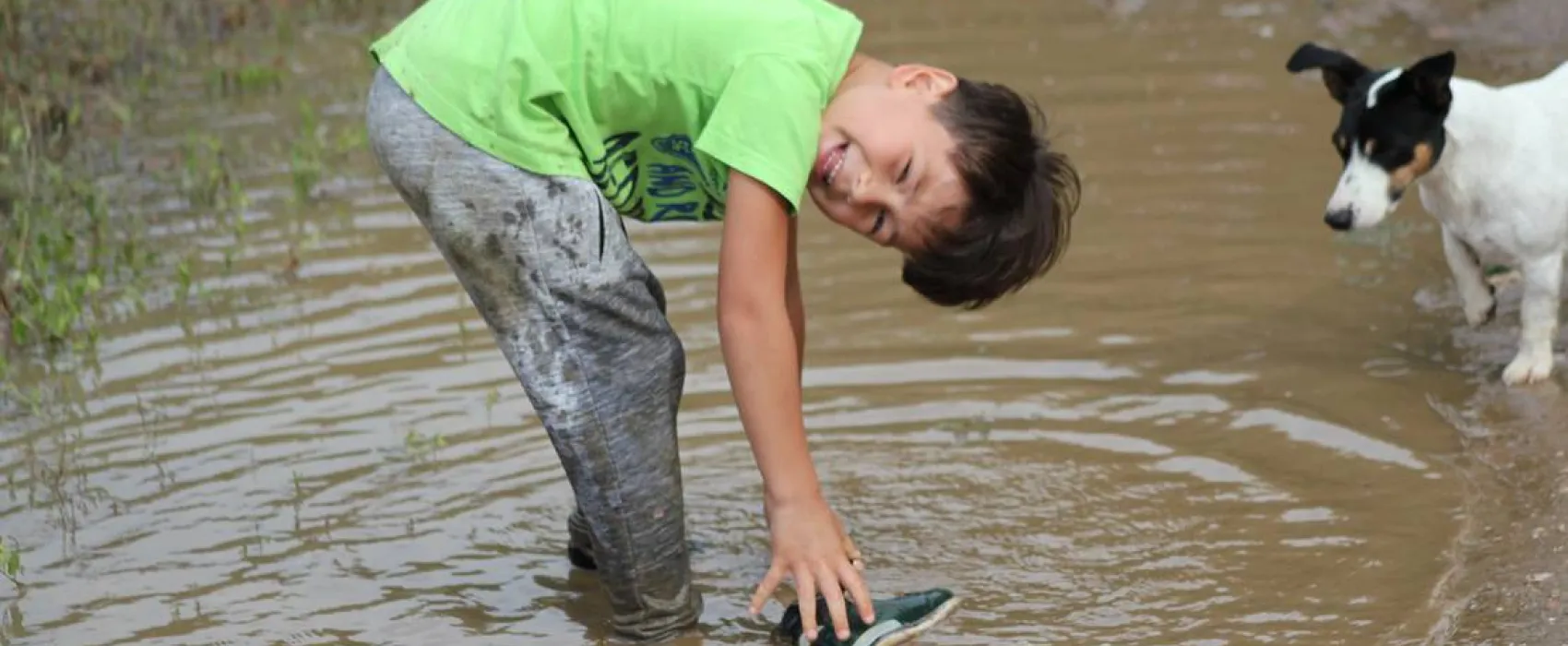 Camping - Starite Borove, Old Pines