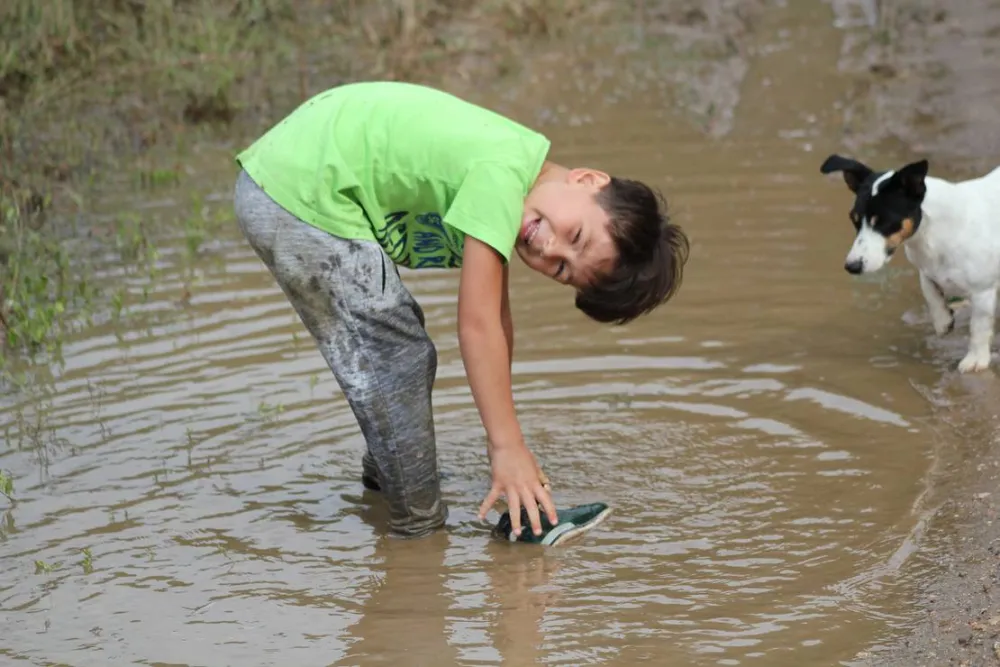 Camping - Starite Borove, Old Pines