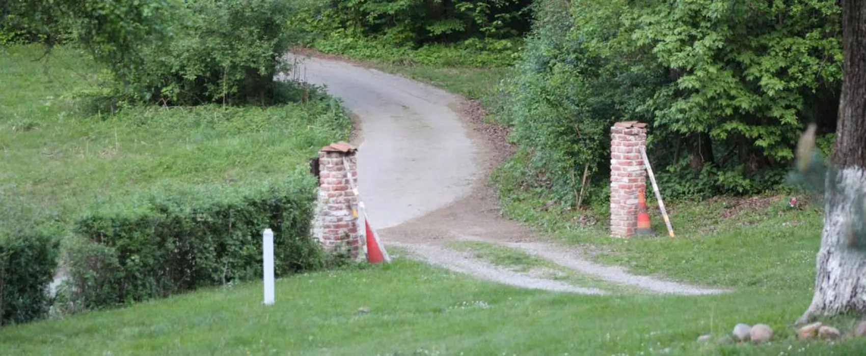 Camping - Starite Borove, Old Pines