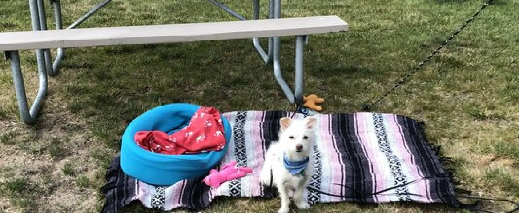 Twin Falls/Jerome KOA