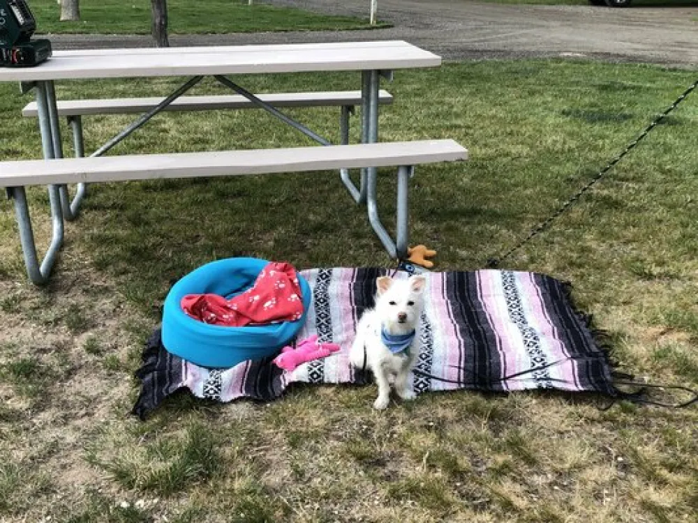 Twin Falls/Jerome KOA