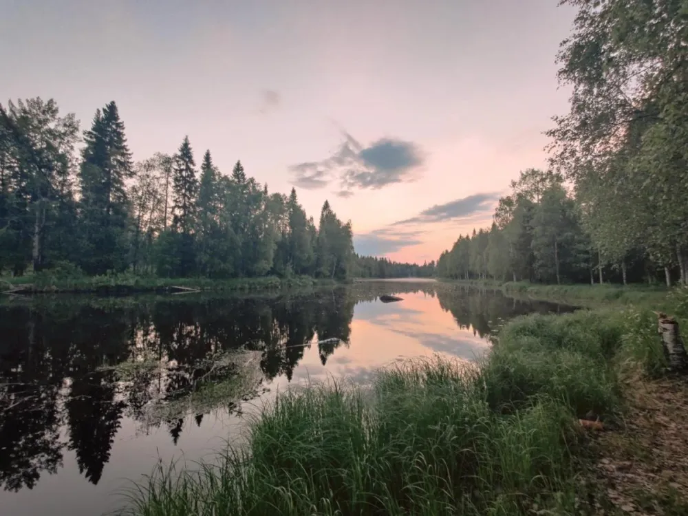 Långforsen Glamping & Lapland Experience