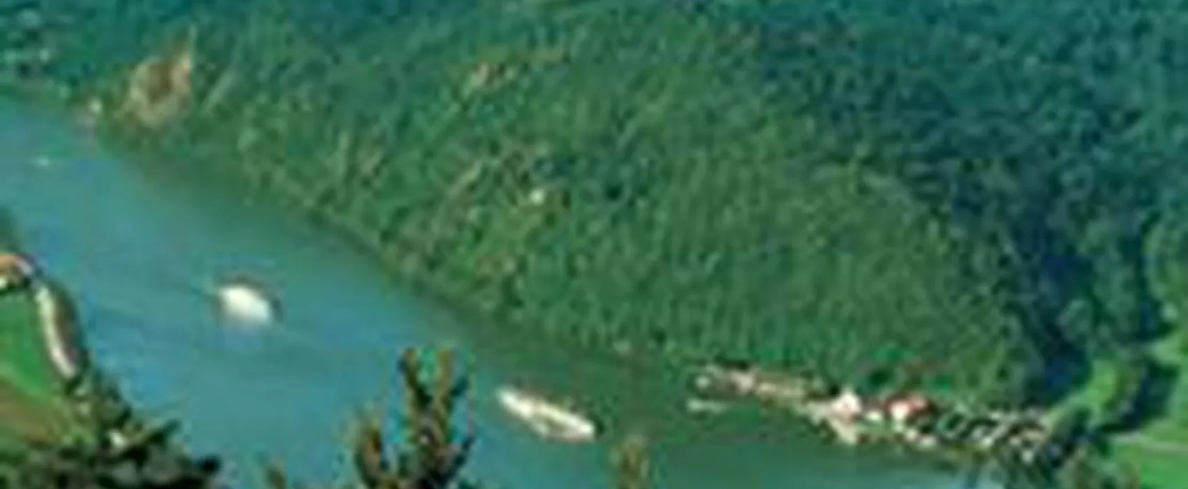 Donau-Camping Kohlbachmühle