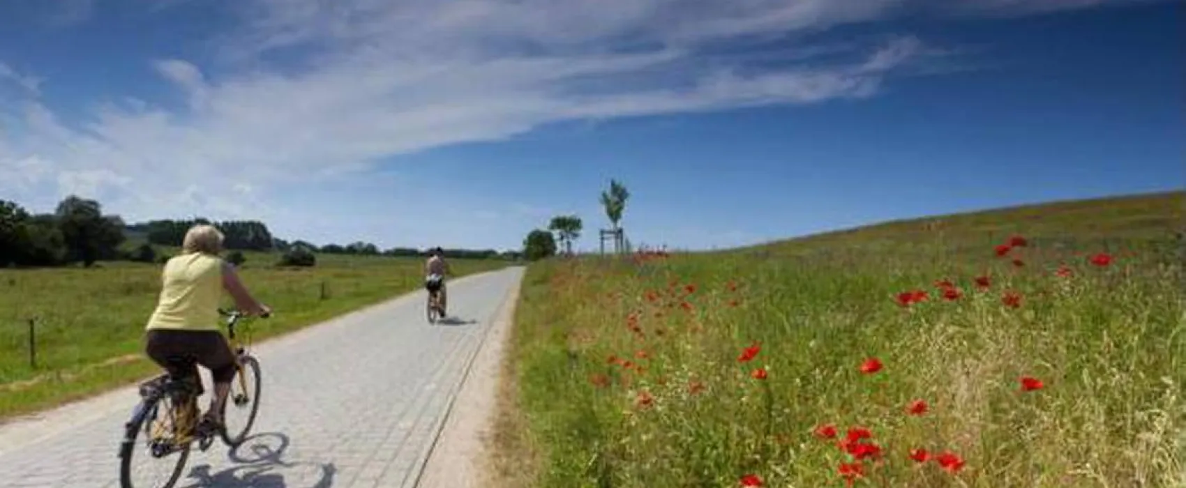 Camping Euro 2012 Gdańsk