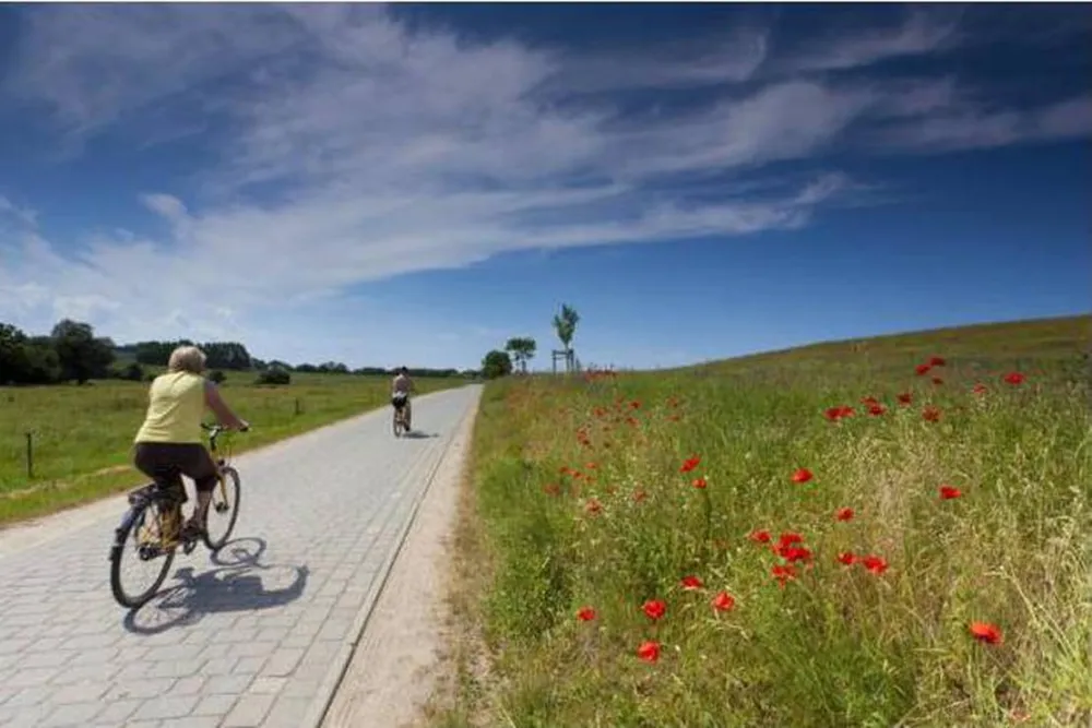 Camping Euro 2012 Gdańsk