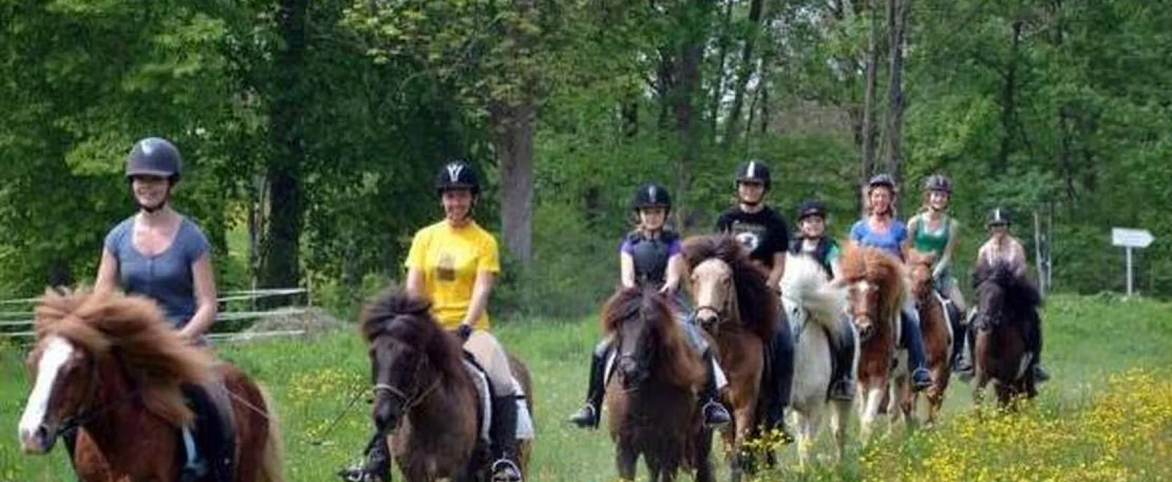 Camping Euro 2012 Gdańsk