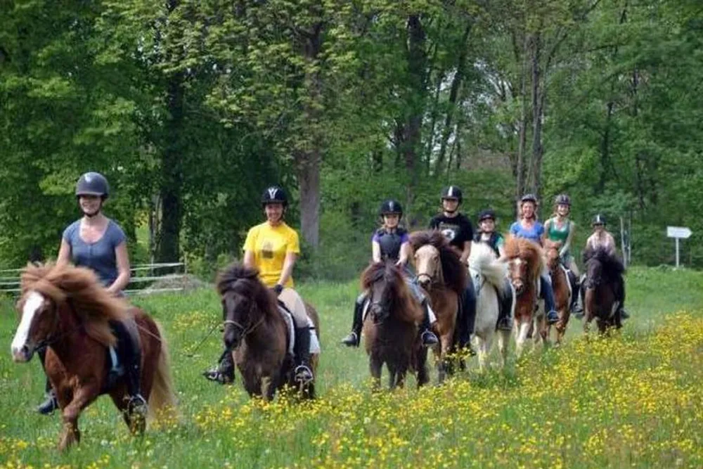 Camping Euro 2012 Gdańsk